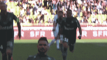 France Football GIF by Ligue 1 Conforama