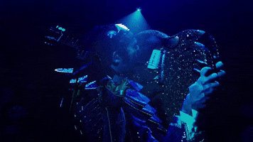 Concert GIF by Matthieu Chedid M