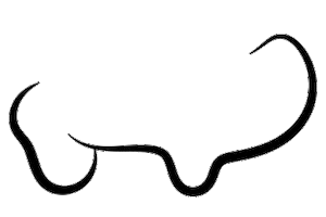 Yo soy Asturias Sticker