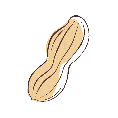 Damiano Sticker
