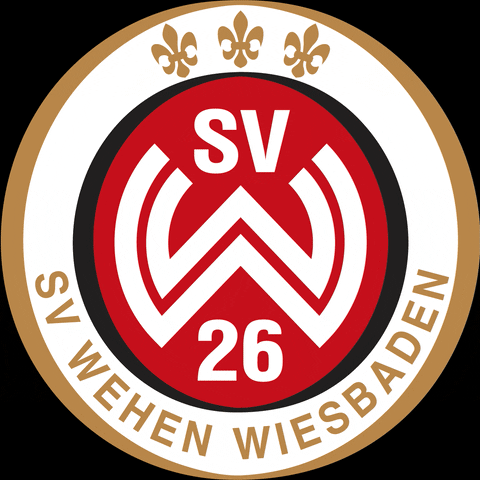 Sv Wehen Wiesbaden Svww GIF by svww_official