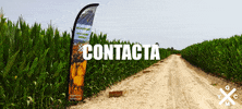 Agricultura GIF by Graocompany