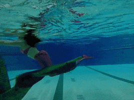 Water Swimming GIF by Het Klokhuis