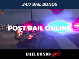 Bail Bonds GIF