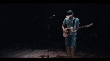 Birdshot GIF