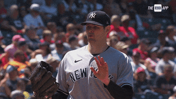 New York Yankees Smh GIF by YES Network