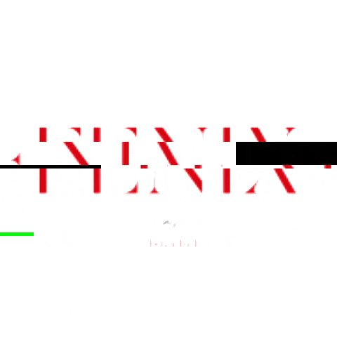 fenixistanbul GIF