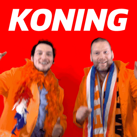 visualbrand netherlands nederland koningsdag kingsday GIF