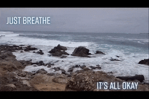 Pool Marketing GIF