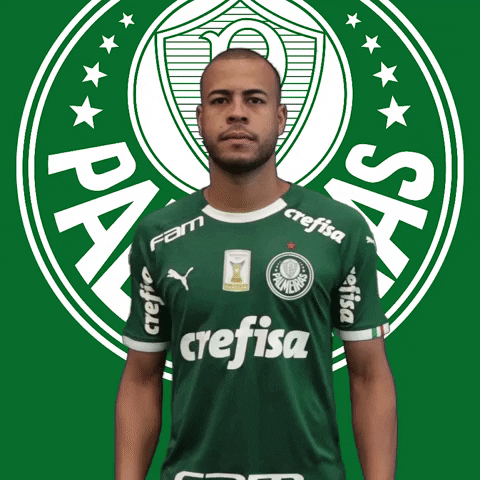 Palmeiras soccer birthday happy birthday clap GIF