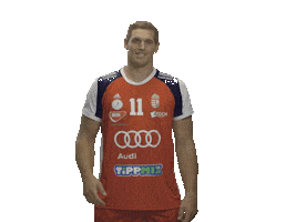 Hungary Patrik Sticker by Watch Games. See More.