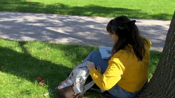 Fall Study GIF by Marquette  University