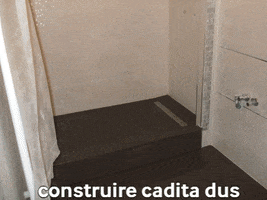 Renovare Baie GIF