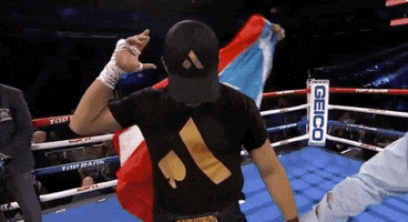 toprank sports boxing fighting boxeo GIF