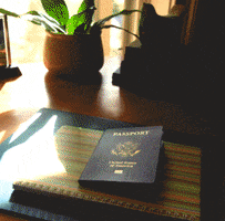 Imperialtraveltours GIF