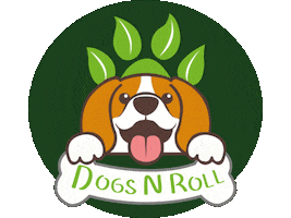 Cats Pets Sticker by Dogs N Roll Latam