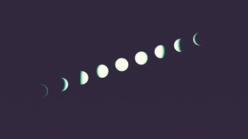 KevinKwokDesign GIF