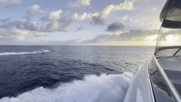 Captain Rex Yacht Charter GIF by Rex Witkamp