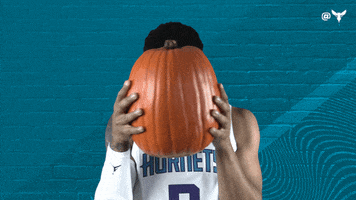 Michigan Basketball Sport GIF by Charlotte Hornets