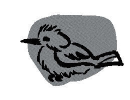 Belted Kingfisher Sticker by Florida Wildlife Corridor Foundation