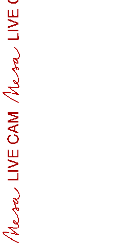 Shisha Mesalounge Sticker by Mesa Kitchen & Lounge LTD