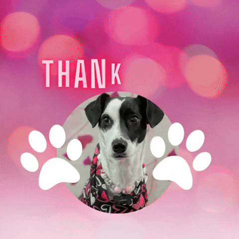 Thank You Dog GIF