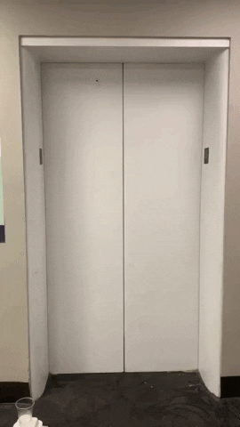 uncadmissionsambassadors GIF