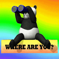 Where Are You Panda GIF