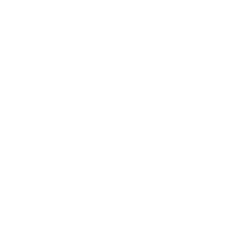 Film Festival Sticker by SBIFF
