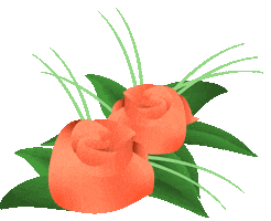 Sushi Salt Sticker by Zrce Beach Official