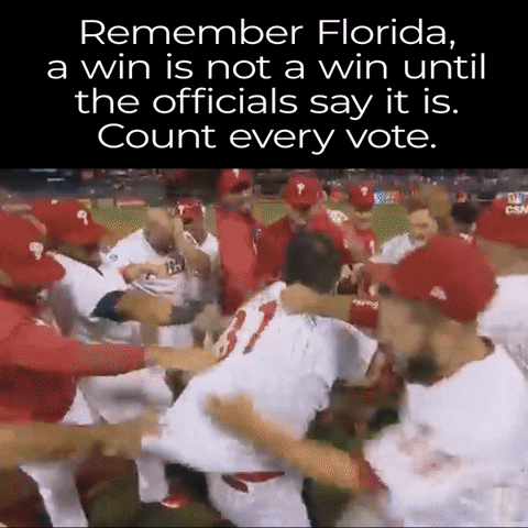 Voting Rights Baseball GIF by INTO ACTION