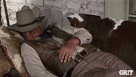 Old West Reaction GIF by GritTV - Old West Reaction GIF by GritTV