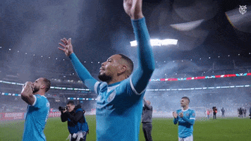 Sport Soccer GIF by NYCFC
