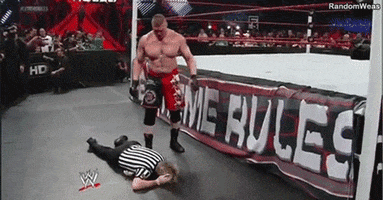 Brock Lesnar Wrestling GIF by WWE
