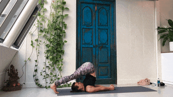 Yoga Point Den Bosch GIF