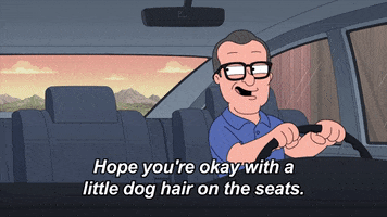 Dog GIF by Family Guy