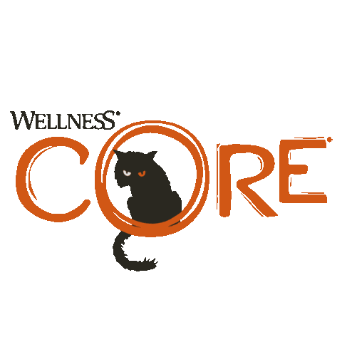 Cat Halloween Sticker by WellnessCORE_eu