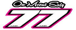 Team Flamingo Sticker by SMD Graphics
