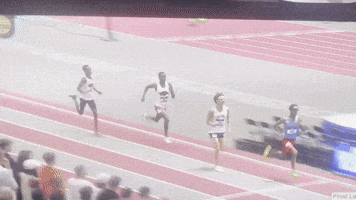 New Mexico Villanova GIF by La Salle