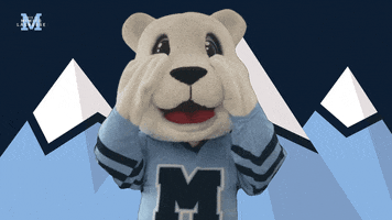 Cant Look Polar Bear GIF by Mimico Lacrosse