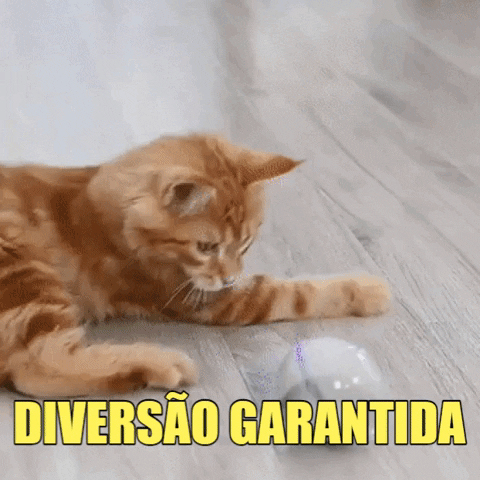 Tuah Pet GIF