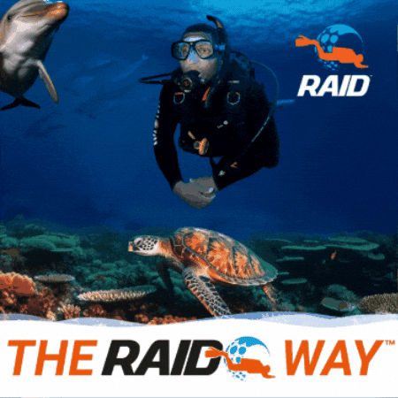 DiveRAID GIF