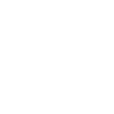 vsight Sticker