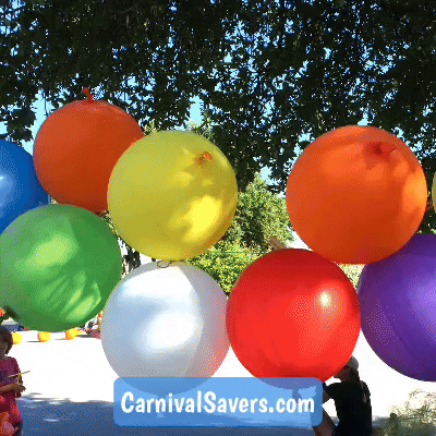 CarnivalSavers carnival savers carnivalsaverscom carnival prize punch ball GIF
