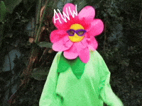 Im So Excited And Happy Gifs Get The Best Gif On Giphy Im So Excited And Happy Gifs Get The Best Gif On Giphy