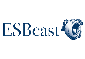 Who Are We International Business Sticker by IB Vision ESB