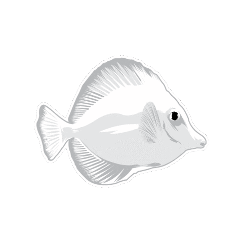 World Wide Corals Sticker