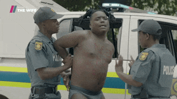 Party Police GIF by Showmax