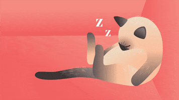 Digital art gif. A Siamese cat sits propped up against a wall with its head slumped. Not a single muscle is moving from the cat, and the text buzzes above it, reading, "Zzzz."
