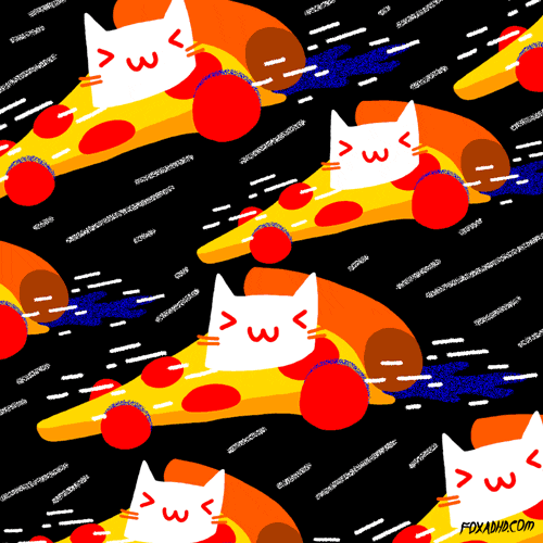 cat fox GIF by Animation Domination High-Def